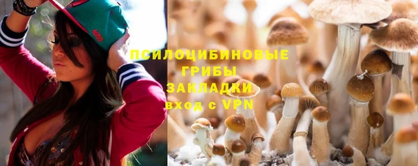 метамфетамин Алексеевка
