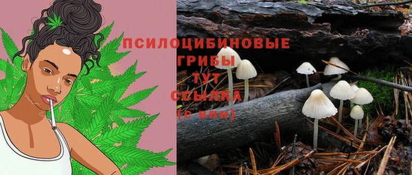 прущий лед Алексин