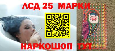 mdpv Кандалакша
