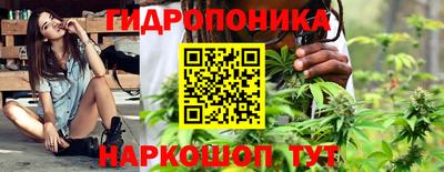гидра Камышлов