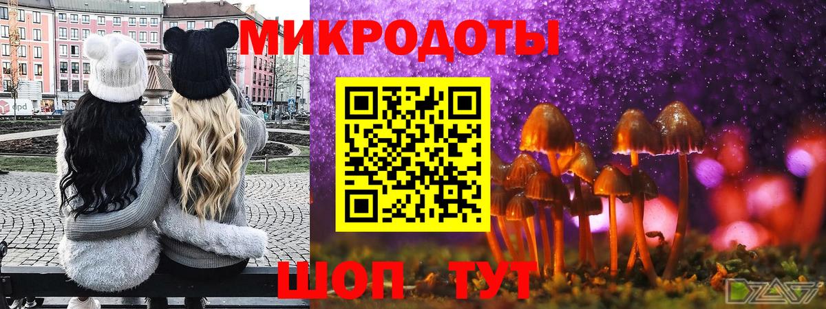 Галлюциногенные грибы Psilocybine cubensis Краснознаменск