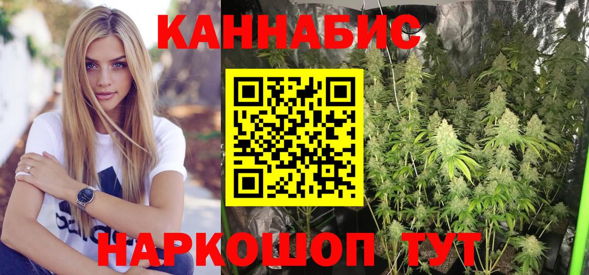 Бошки марихуана сатива  Вход с VPN  Конопля LSD WEED  Бошки Шишки тримм  Краснознаменск 